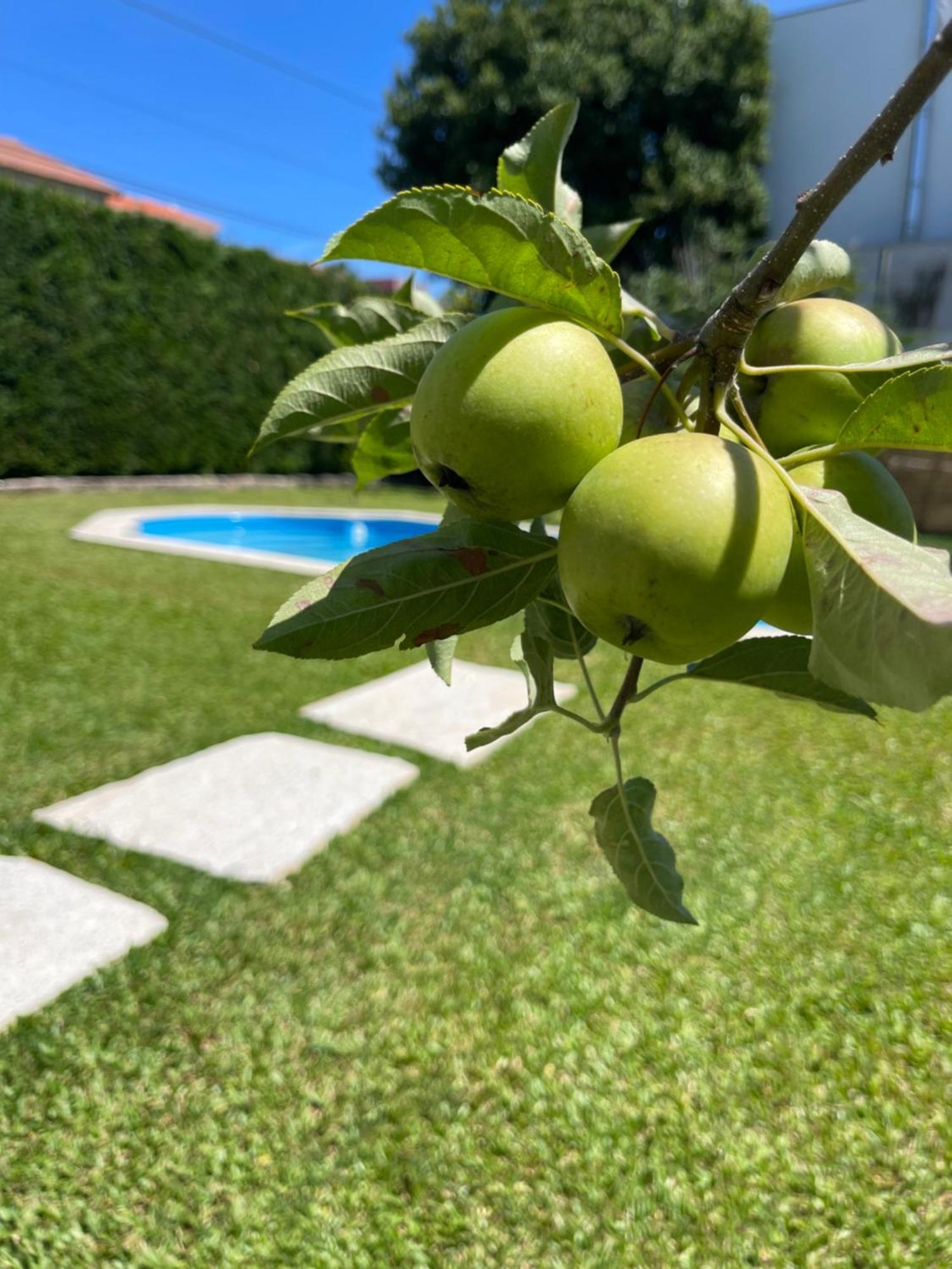 Holiday home Casa Do Albano Viana do Castelo